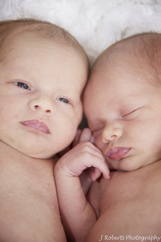 newborn twins - newborn baby twin photography